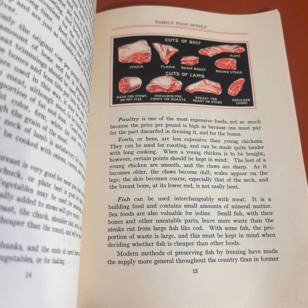 1934 The Family Food Supply Metropolitan Life Insurance Vintage Cookbook Booklet